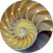 Goldbarren f 1. Avatar